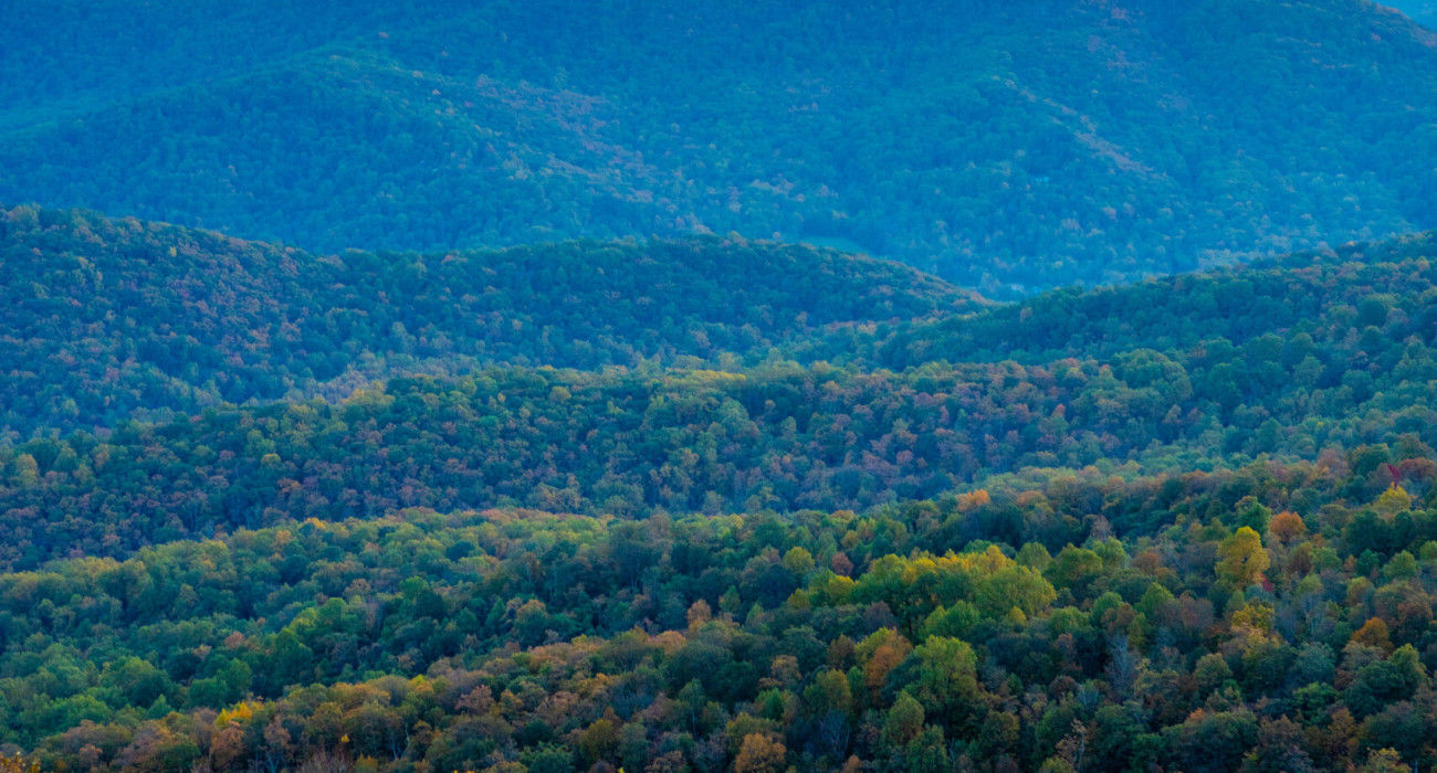 Shenandoah National Park Fall Foliage in Shenandoah, VA, United States