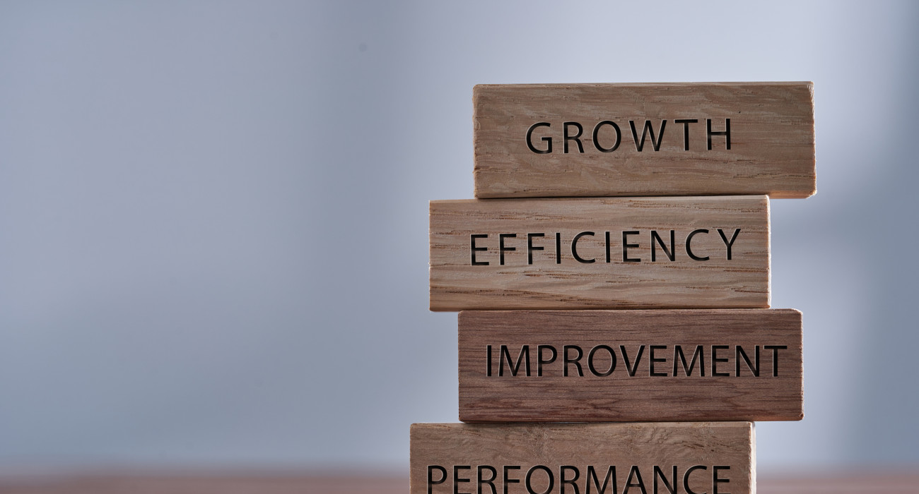 Business management related words growth, efficiency,improvement and performance on wooden blocks